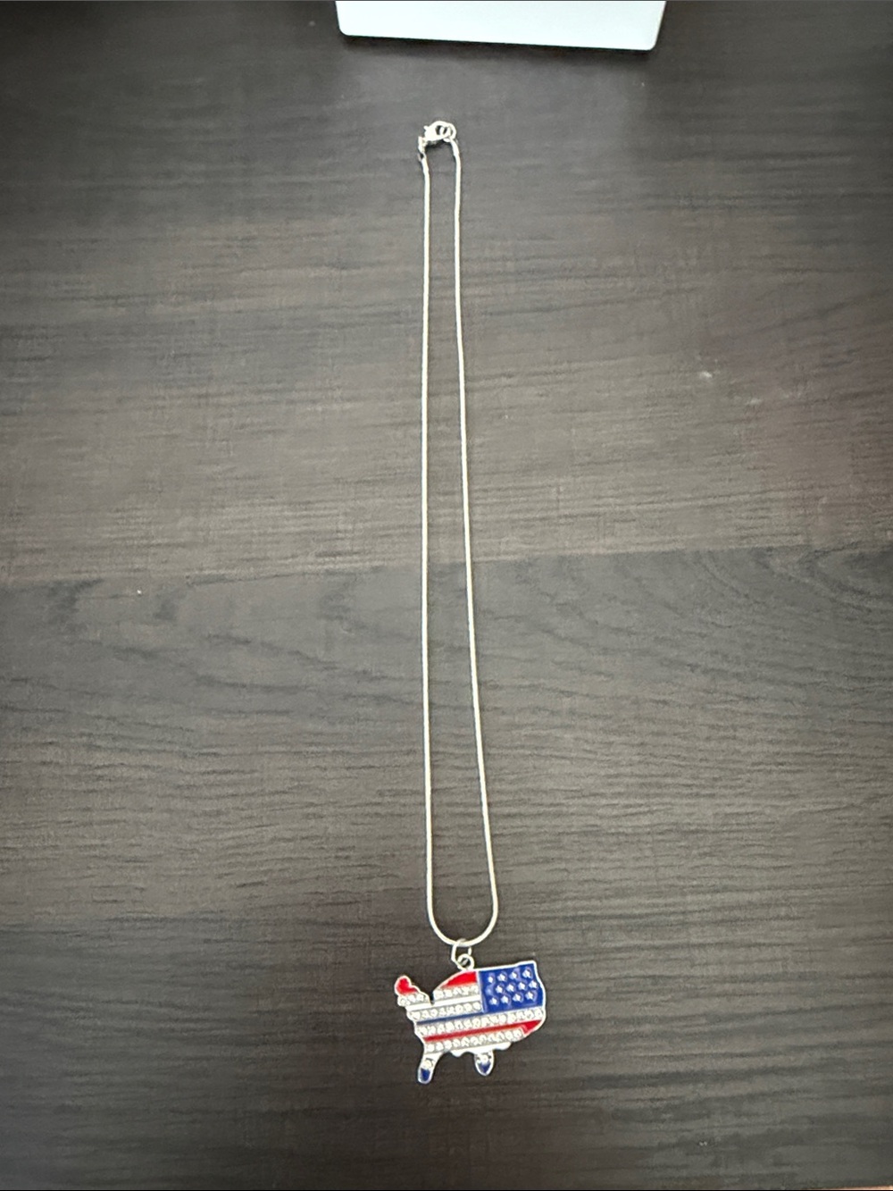 United States of America homemade necklace.
